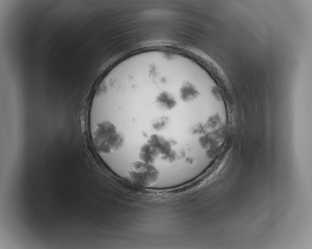 X0000102540929200808081047