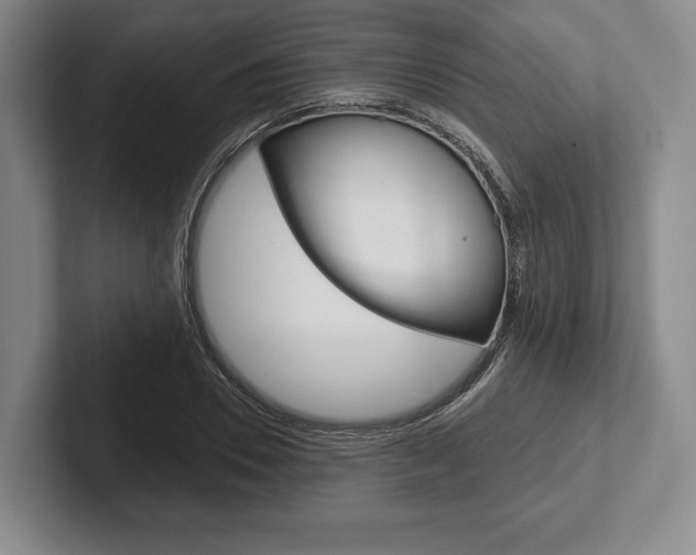 X0000102540930200808081047