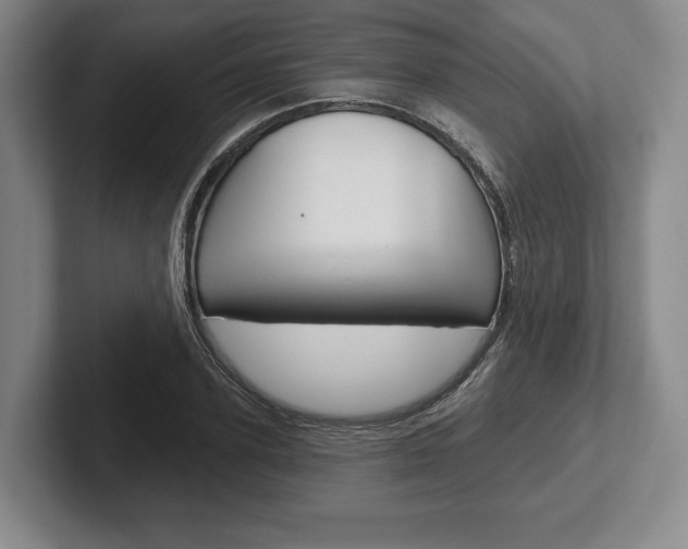 X0000102540931200808081047