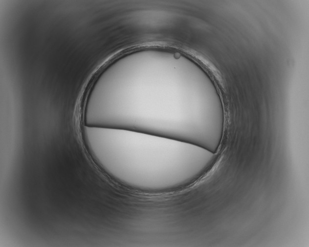 X0000102540933200808081047