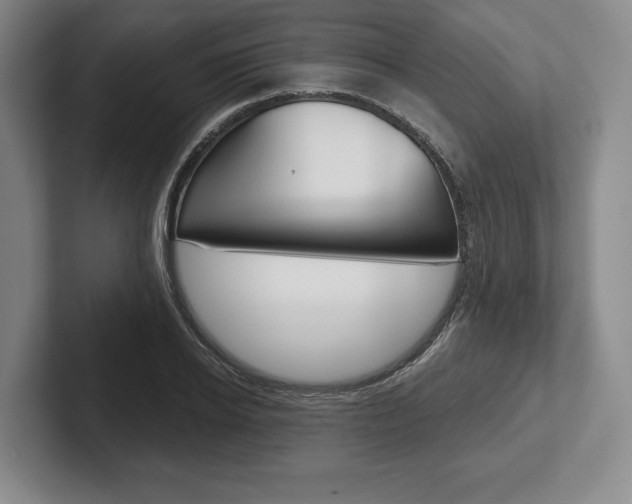 X0000102540934200808081047