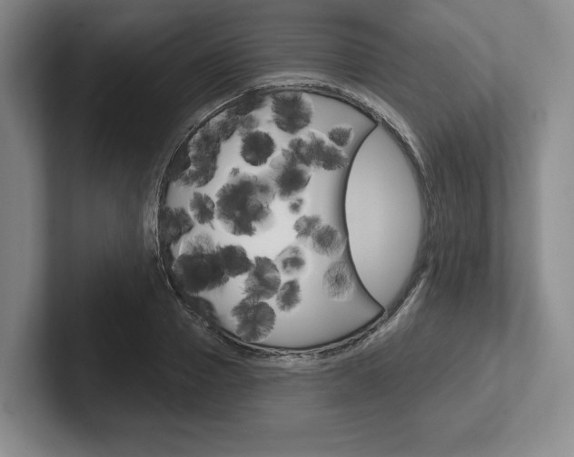 X0000102540937200808081047