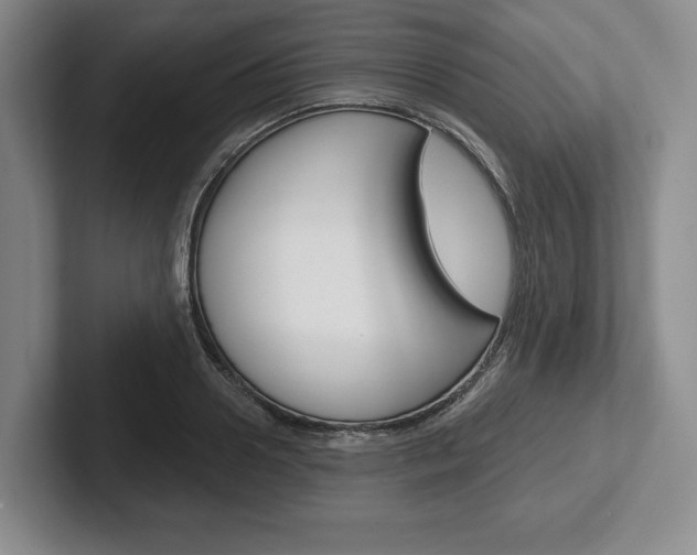 X0000102540938200808081047