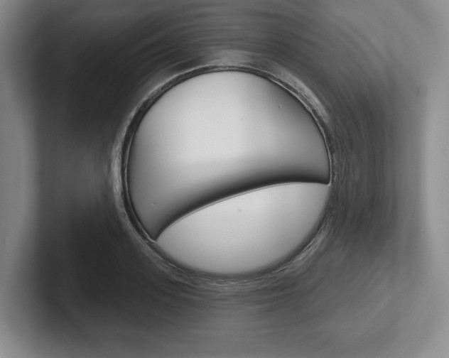 X0000102540939200808081047