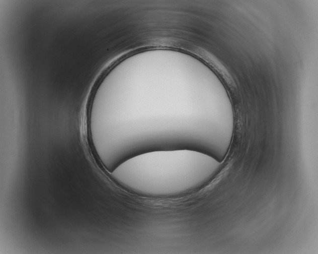 X0000102540940200808081047