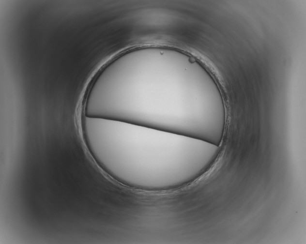 X0000102540941200808081047