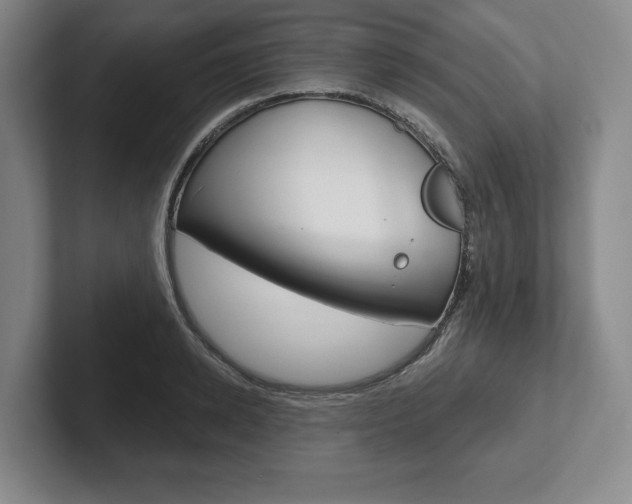 X0000102540942200808081047