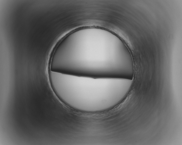 X0000102540943200808081047