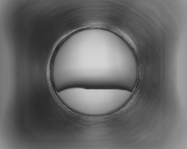 X0000102540944200808081047