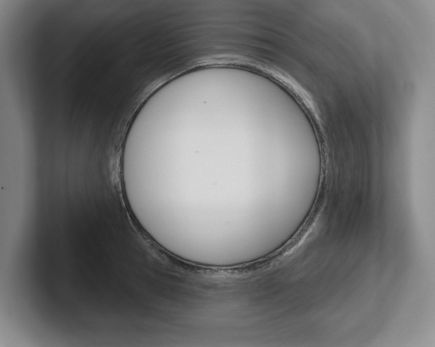 X0000102540945200808081047