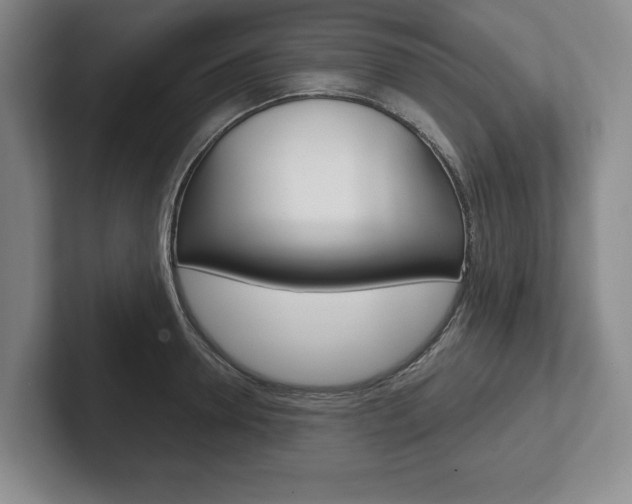 X0000102540946200808081047