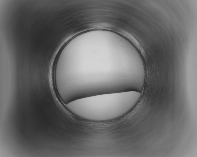 X0000102540947200808081047