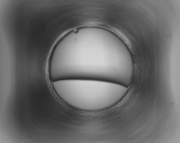 X0000102540948200808081047