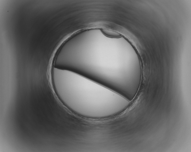 X0000102540949200808081047