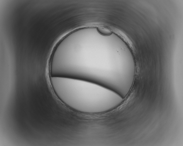 X0000102540952200808081047