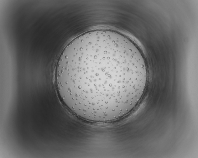X0000102540953200808081047