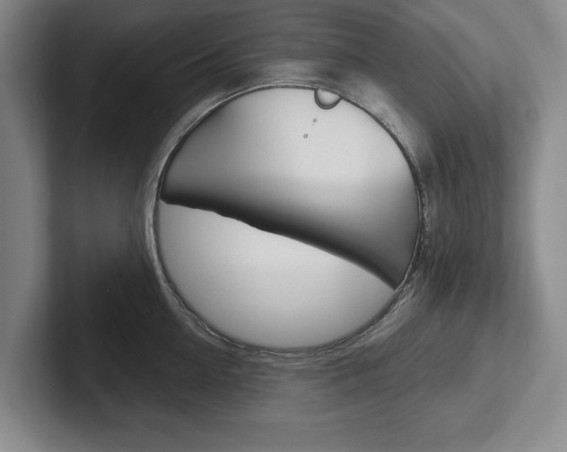 X0000102540954200808081047