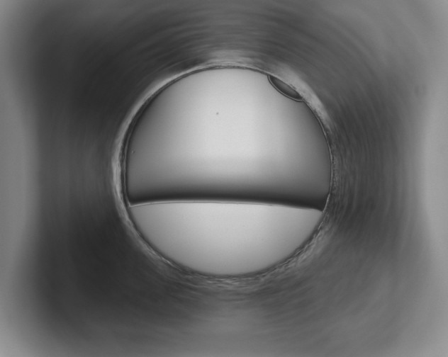 X0000102540955200808081047