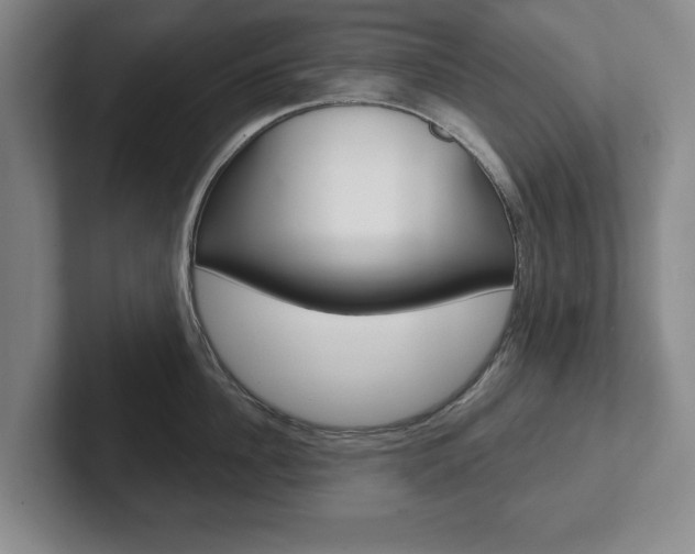 X0000102540956200808081047