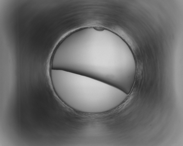 X0000102540958200808081047