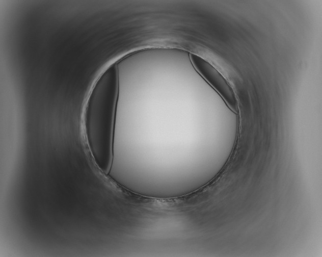 X0000102540960200808081047