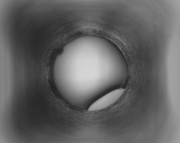 X0000102540965200808081047