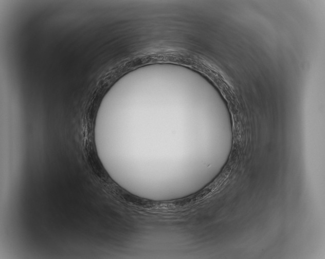 X0000102540966200808081047