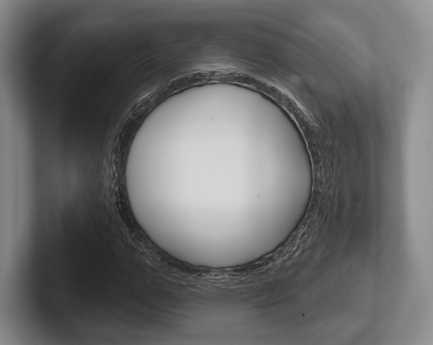 X0000102540967200808081046