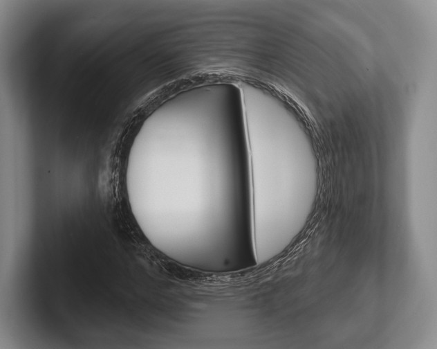 X0000102540968200808081046
