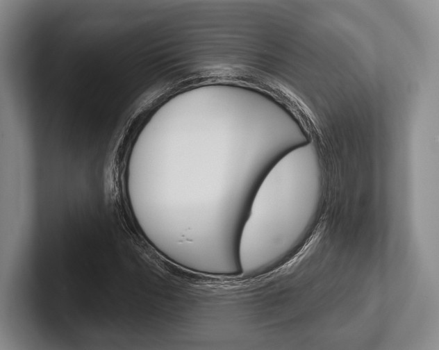 X0000102540970200808081046