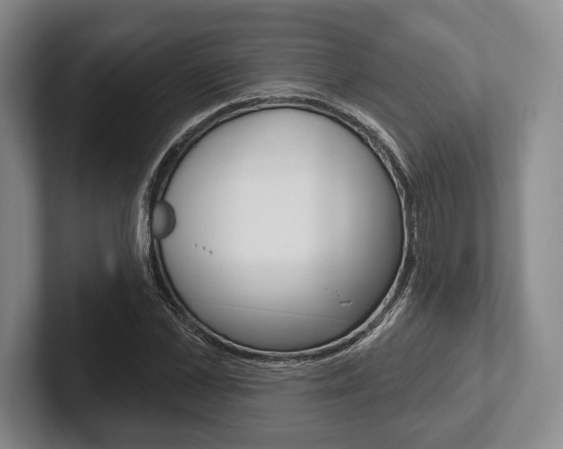 X0000102540973200808081046