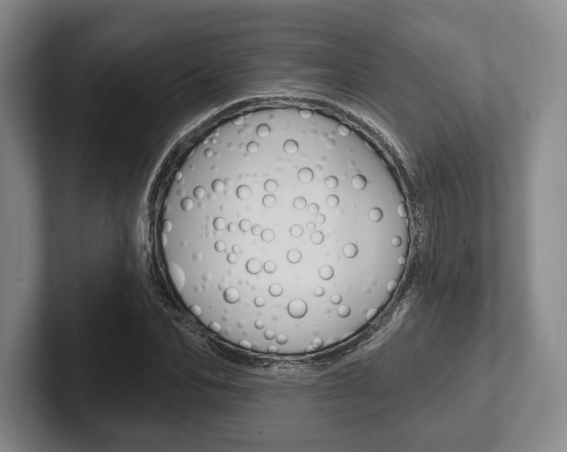X0000102540974200808081046