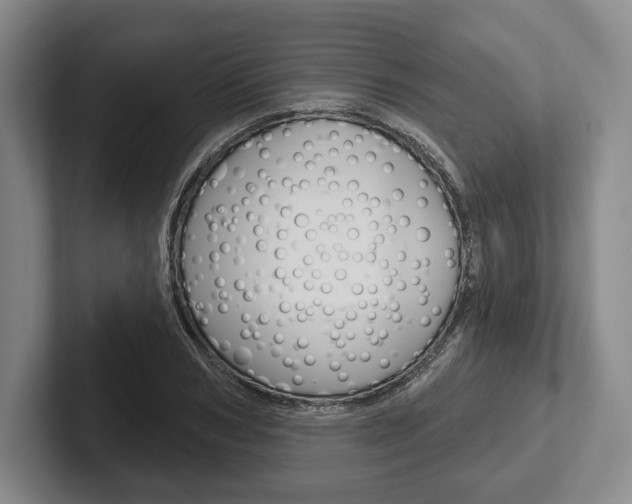 X0000102540978200808081046