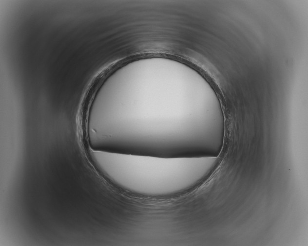 X0000102540979200808081046