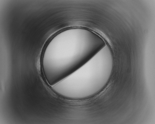 X0000102540980200808081046