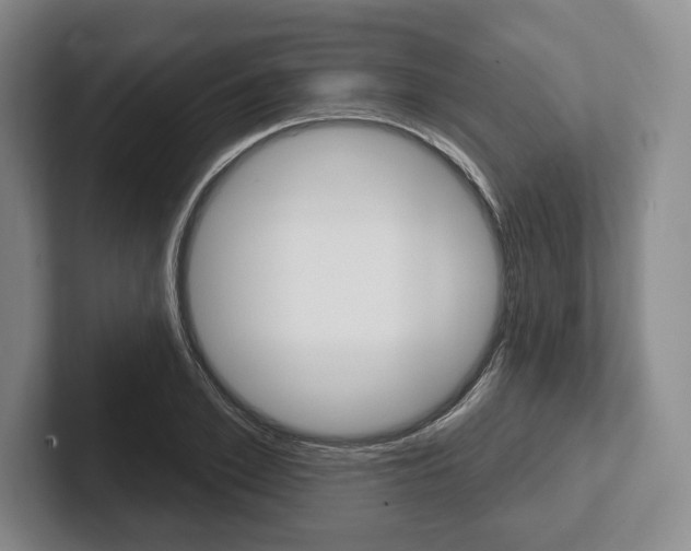 X0000102540981200808081046