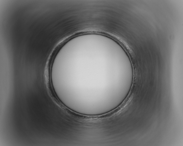 X0000102540982200808081046
