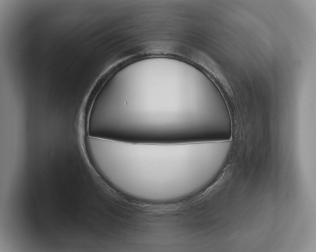 X0000102540984200808081046