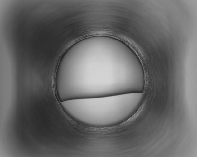 X0000102540985200808081046