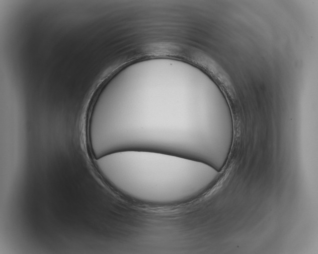 X0000102540986200808081046