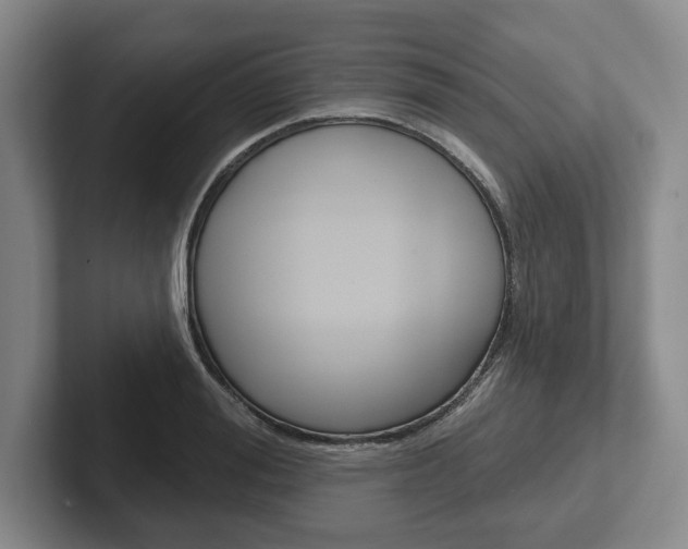 X0000102540988200808081046