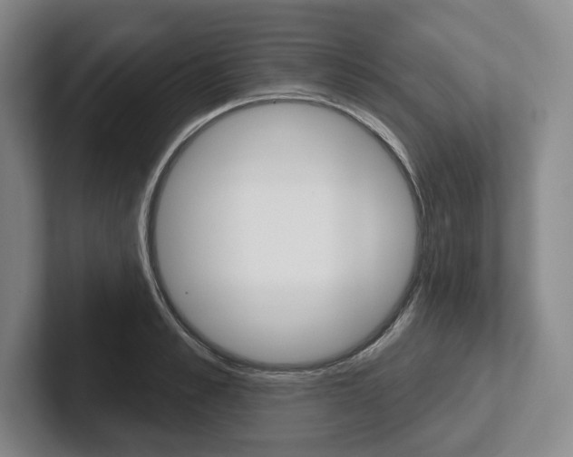 X0000102540989200808081046