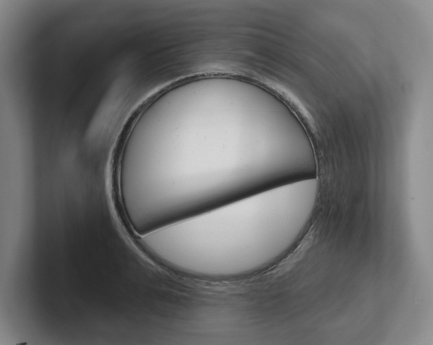 X0000102540991200808081046