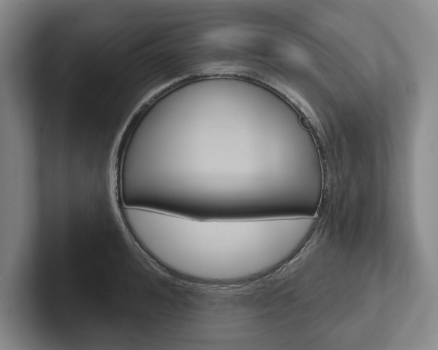 X0000102540992200808081046