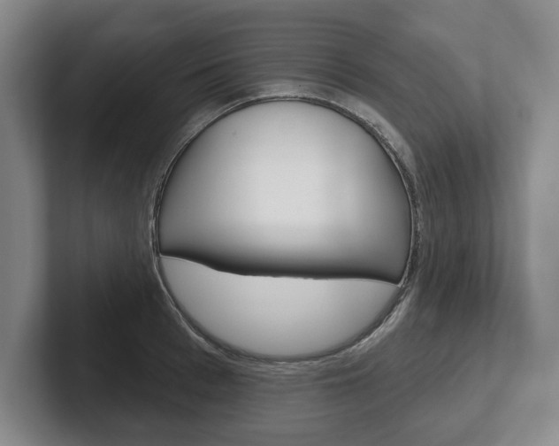 X0000102540993200808081046