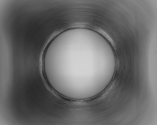 X0000102540994200808081046