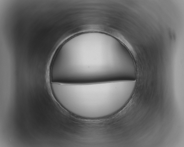 X0000102540996200808081046