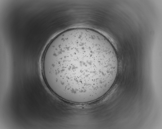 X0000102540998200808081046