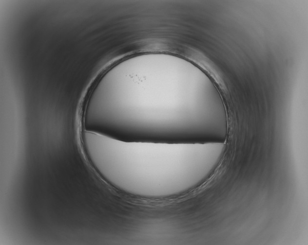 X0000102541000200808081046