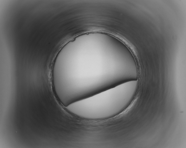 X0000102541001200808081046